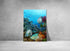 original painting great barrier reef batfish wall art print